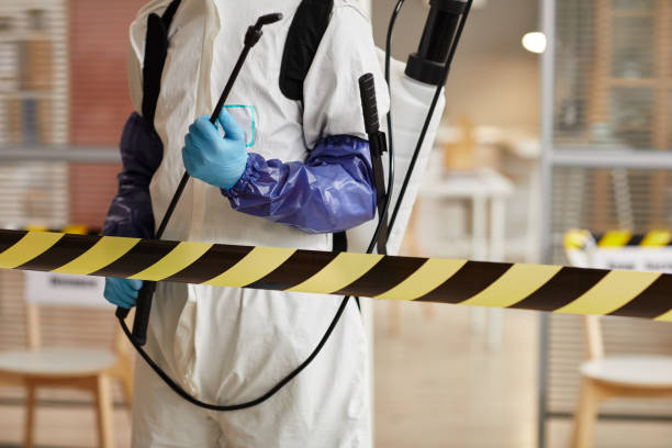 Professional Sewage Cleanup technician working in Lula, GA